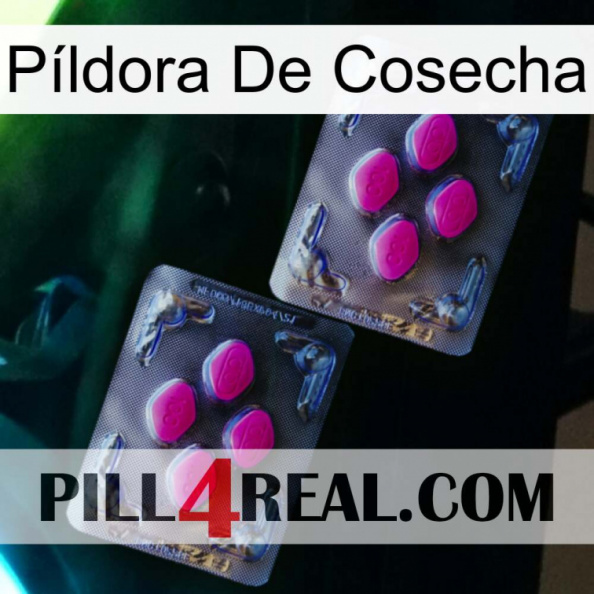 Píldora De Cosecha 01